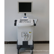 96ele ultrasound for sheep and fetus liver kidney & good quality trolley ultrasound for animal